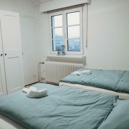 Ferienhaus Schneeweiss 温特贝格 外观 照片