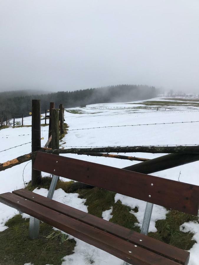 Ferienhaus Schneeweiss 温特贝格 外观 照片