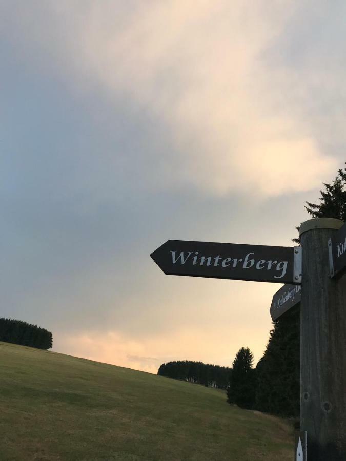 Ferienhaus Schneeweiss 温特贝格 外观 照片