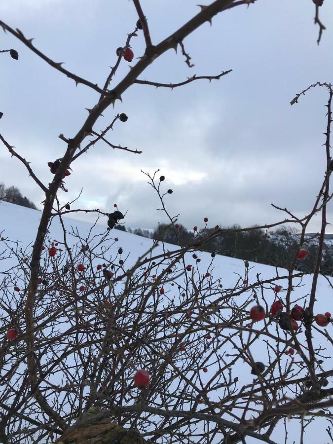 Ferienhaus Schneeweiss 温特贝格 外观 照片