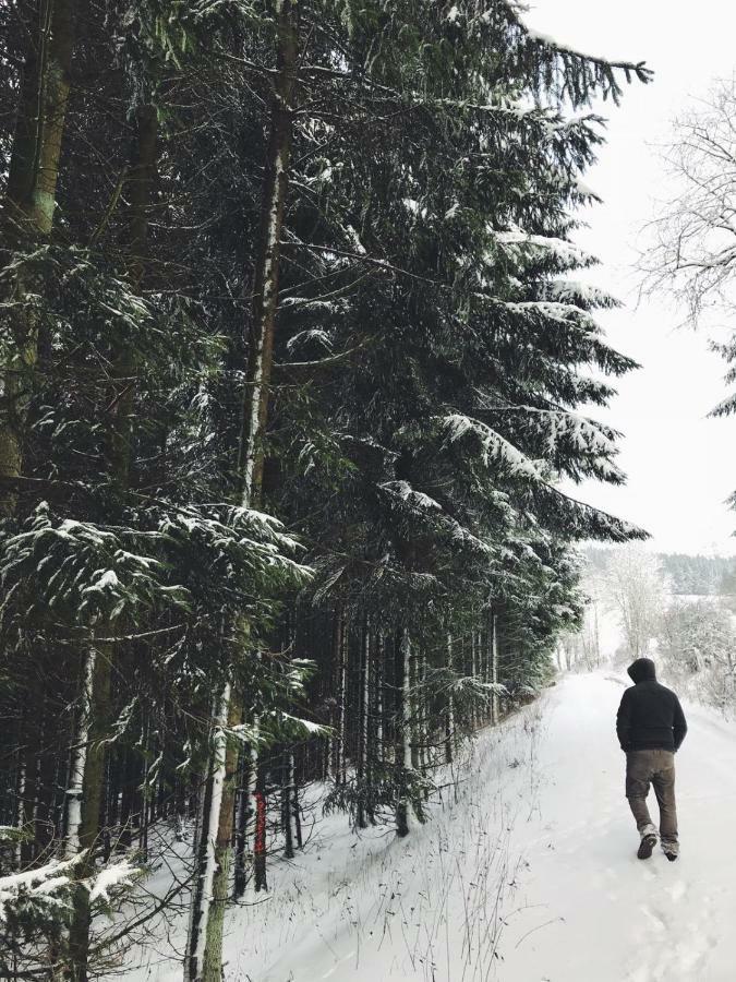 Ferienhaus Schneeweiss 温特贝格 外观 照片